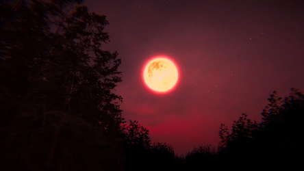 Deer Head screenshot 5