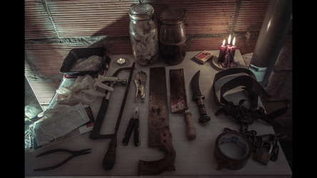 The Fan screenshot 2