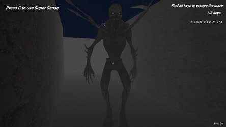 SHADOW MAZE Descent into Fear screenshot 1