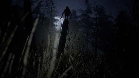 Forest 6174 screenshot 4