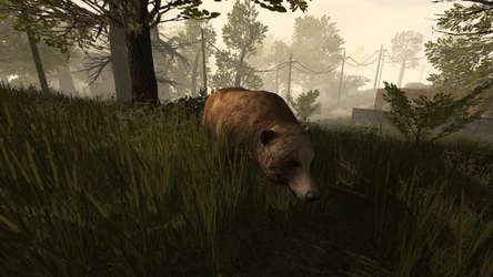 PostCollapse screenshot 8