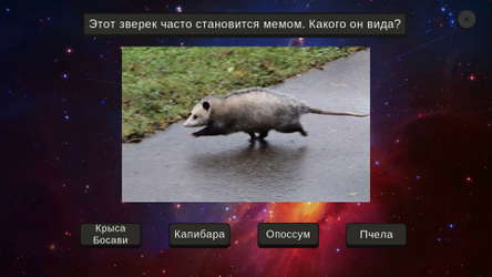 МЕМОЛОГИЯ screenshot 6