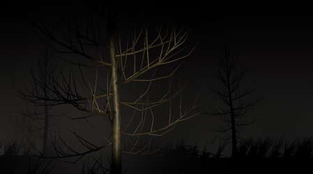 Mysterious Night (The First Night) screenshot 1