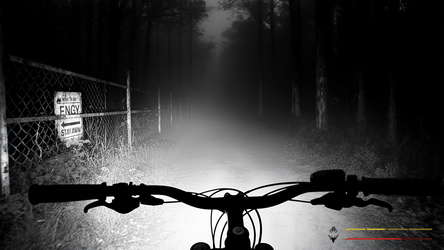 The Last Ride Home screenshot 5