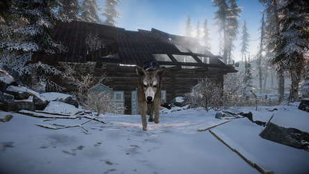 Short Snow screenshot 28