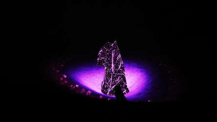 Seekers screenshot 6