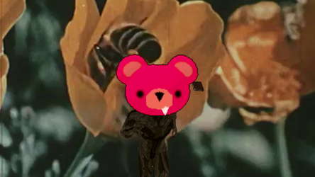 Bearly Alive screenshot 4