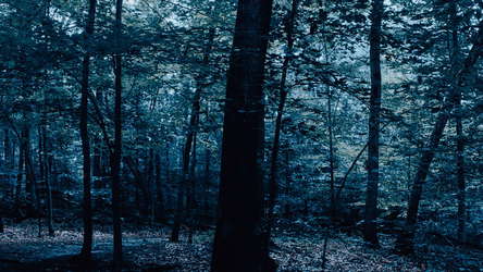 The Holyburn Witches screenshot 2