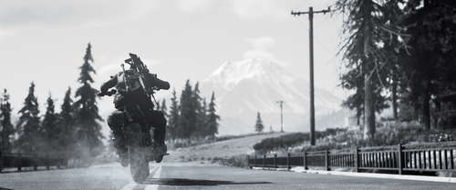 Days Gone screenshot 8