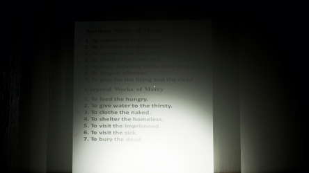 The Works of Mercy screenshot 7