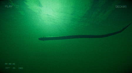 Full Fathom screenshot 10