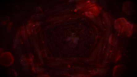 Please Duology screenshot 8