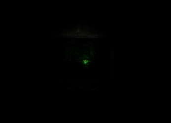 What Lurks Inside screenshot 2