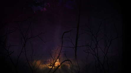 Finsterwald screenshot 1