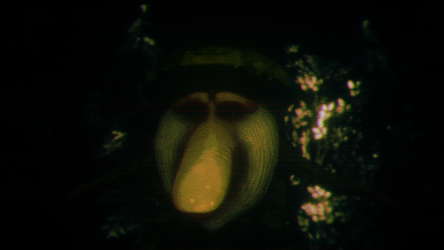 BrainRooms - Brainrot Backrooms screenshot 2