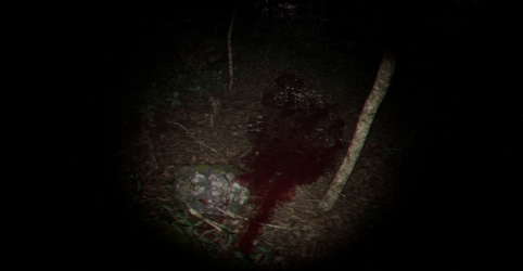 Playback Trauma®: The Dog screenshot 6