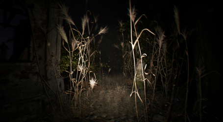SILVARN screenshot 2