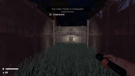 Labyrinthus screenshot 6