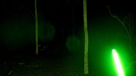 Search 4 Bigfoot screenshot 2
