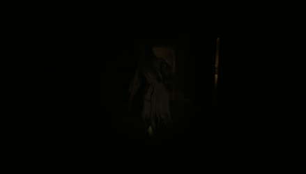 Horror Villa 恐怖撤锁 screenshot 4