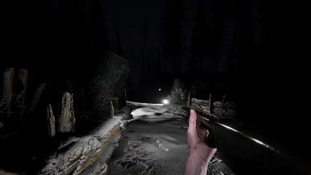 Silence In The Cabin screenshot 3
