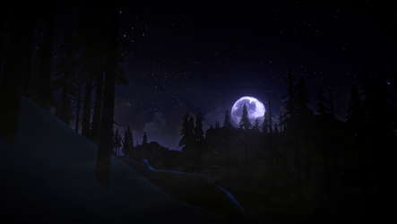 The Long Dark screenshot 11