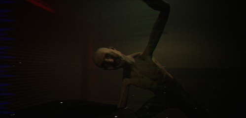 PROJECT 13 Perception Test screenshot 1