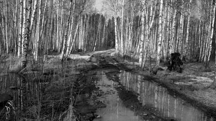Russian Psychiatric Pastoral: Prologue screenshot 4