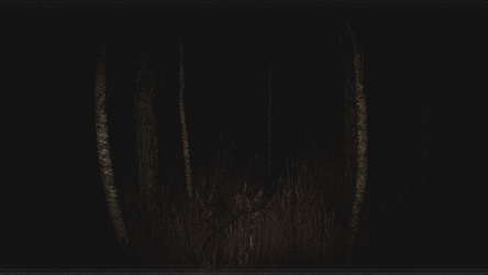 Paranormal VHS screenshot 1