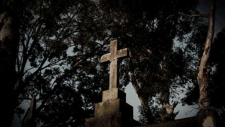 The Zombie Neighborhood screenshot 1