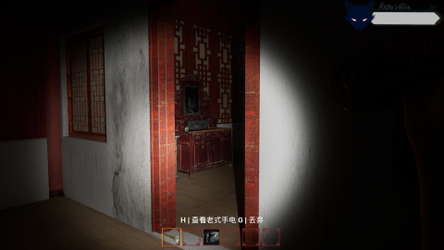 消失的妹妹(The Vanished Sister) screenshot 7