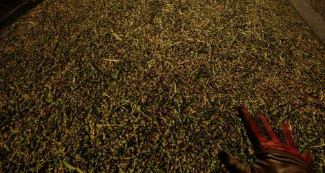 Touch Grass Together screenshot 6
