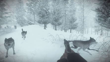 Kona screenshot 7