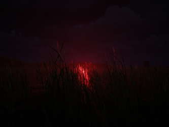 The Backrooms: Lost Tape screenshot 8