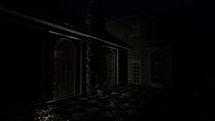 THE LAST PORTRAIT screenshot 5