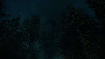 Forest Lookout screenshot 1