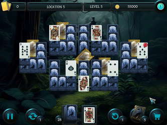 Mystery Solitaire. The Black Raven 6 screenshot 5