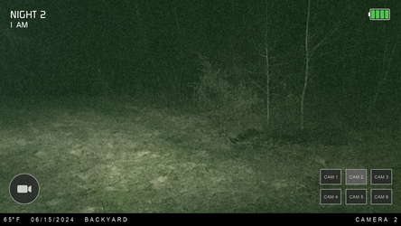 Night at the Cabin screenshot 2
