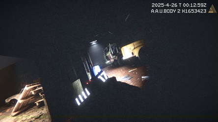 A.A.U. screenshot 6