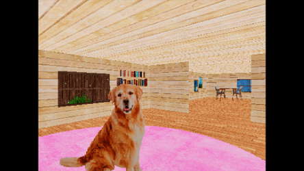 TAKE CARE OF THE DOG screenshot 2