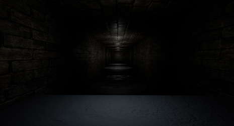 The Corridors screenshot 5