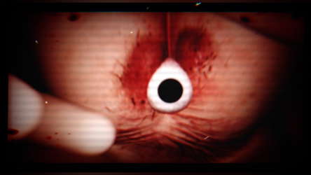 SHIRIME: The Curse of Butt-Eye screenshot 4