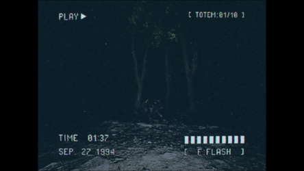 Lost Footage : Sound In The Silence screenshot 1