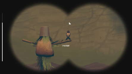 Birds Watching screenshot 3