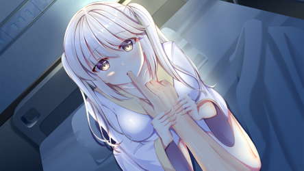 White Wings ホワイトウィングス screenshot 5