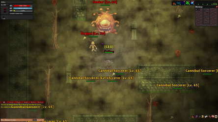 Rebornia - MMORPG 2D screenshot 10