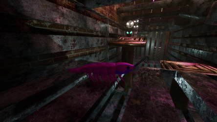 S H R i M P screenshot 9