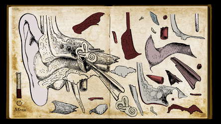 Wound Man screenshot 8