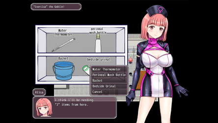 Alisa’s  Incident Report screenshot 7