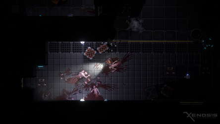 Xenosis: Alien Infection screenshot 1